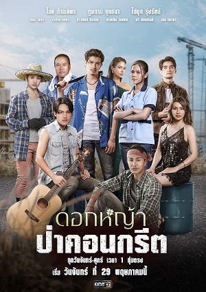 Hoa Dại Giữa Thành Phố